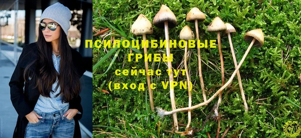 гидра Алексеевка